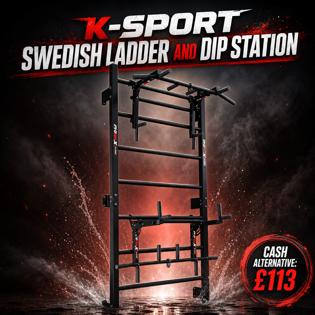 K-SPORT SWEDISH LADDER AND DIP STATION