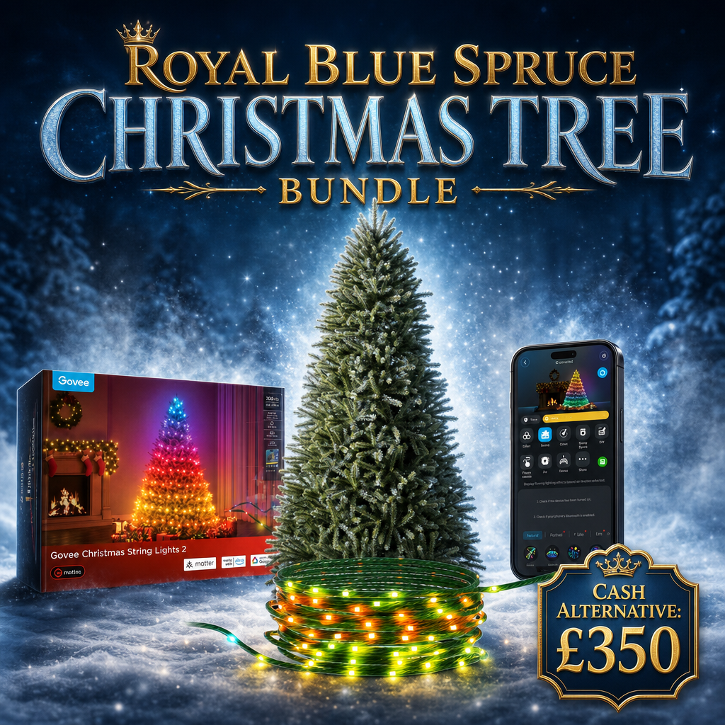 ROYAL BLUE SPRUCE CHRISTMAS TREE BUNDLE